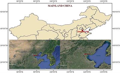 Size Distribution of Ambient Particulate Matter and Its Constituent Chemical Species Involving Saccharides During Early Summer in a Chinese Megacity